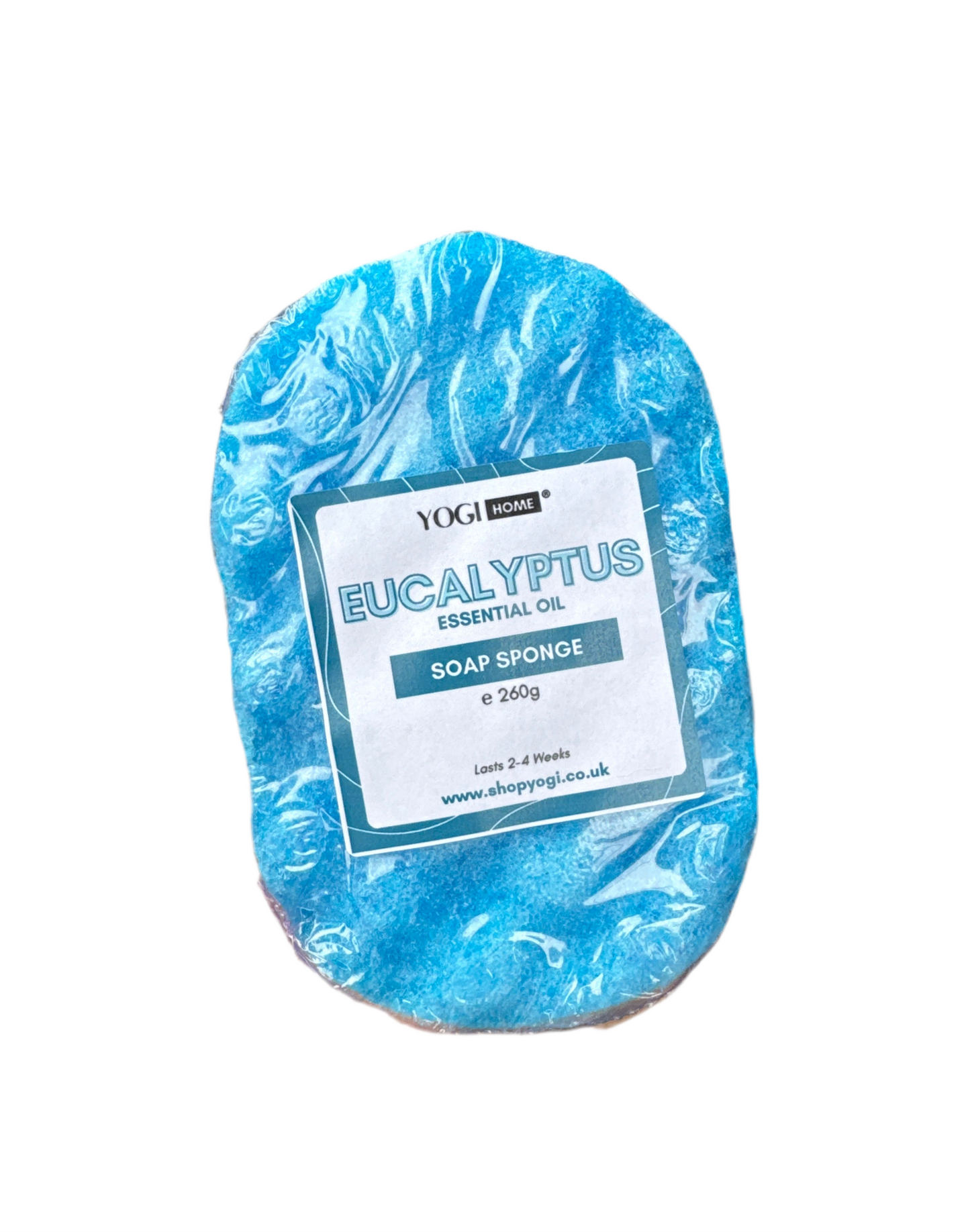 Eucalyptus (Essential Oil) Soap Sponge