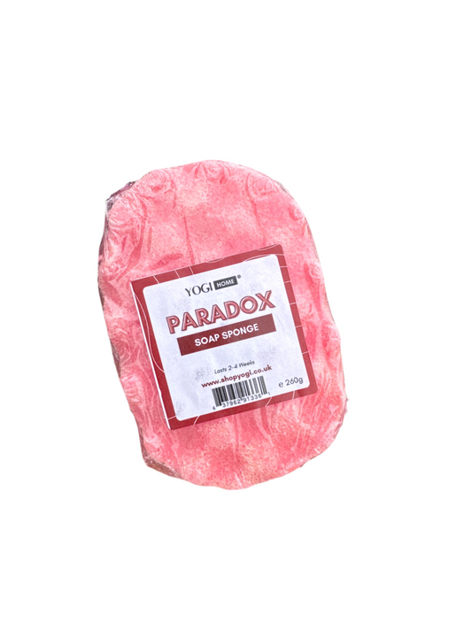 Paradox Soap Sponge