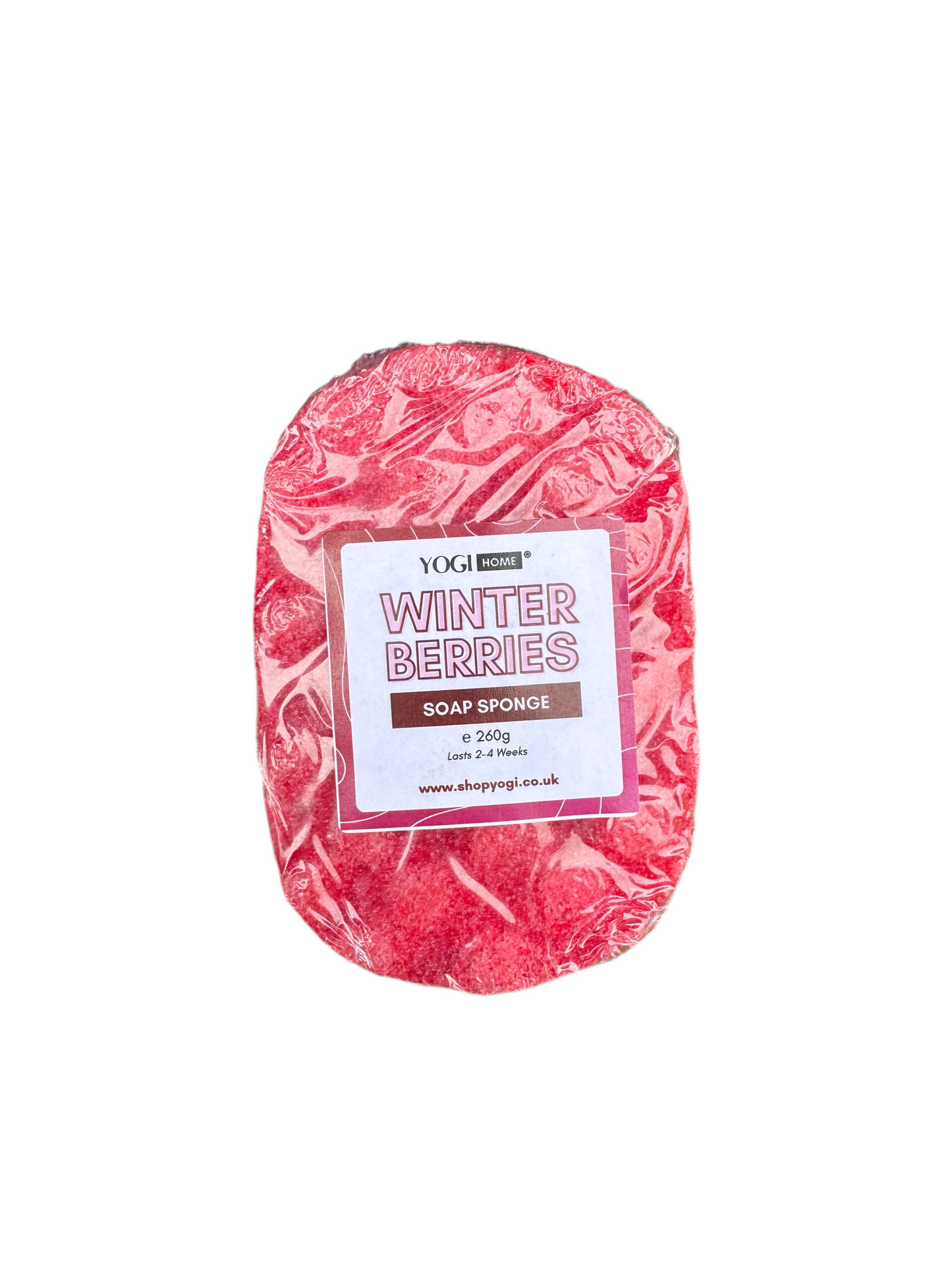 Winter Berries Soap Sponge