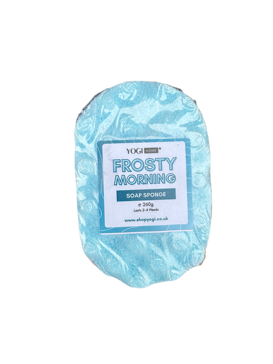 Frosty Morning Soap Sponge