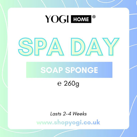 Spa Day Soap Sponge
