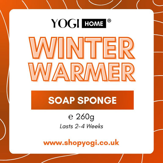 Winter Warmer Soap Sponge